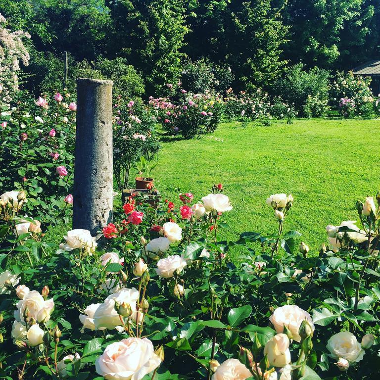 Bed and Breakfast Dimora di Campagna Casale Sul Sile Esterno foto