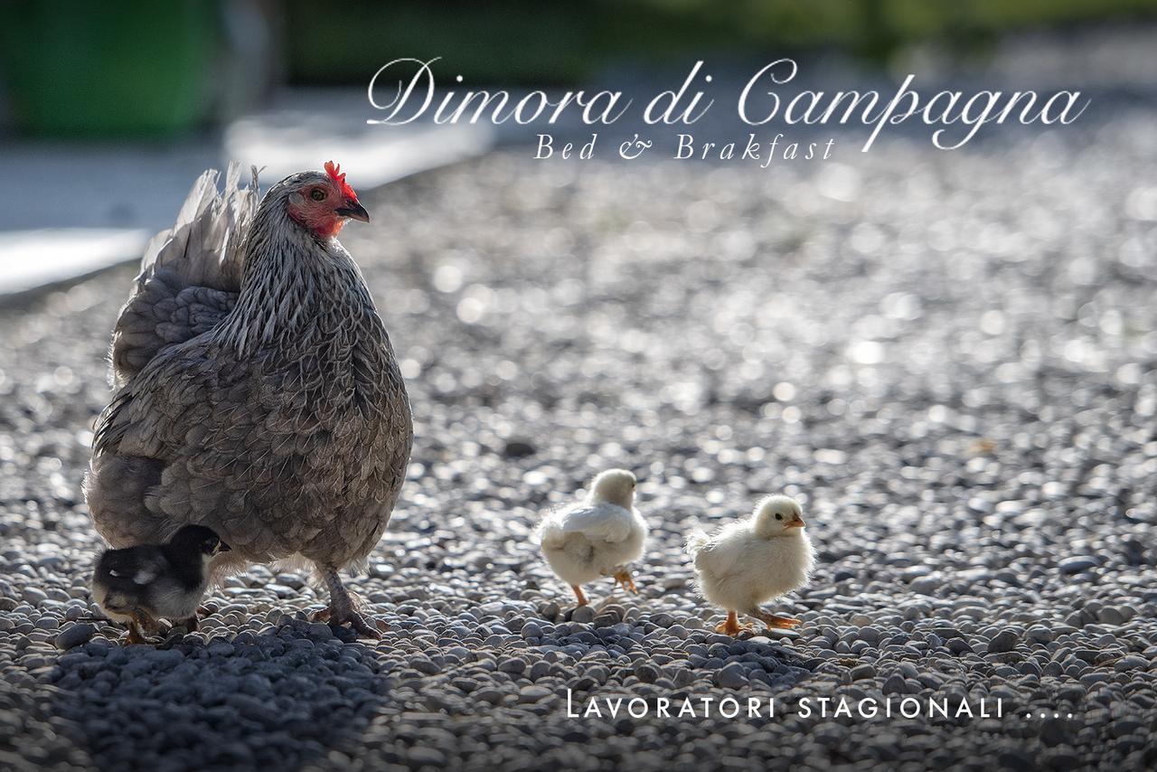 Bed and Breakfast Dimora di Campagna Casale Sul Sile Esterno foto